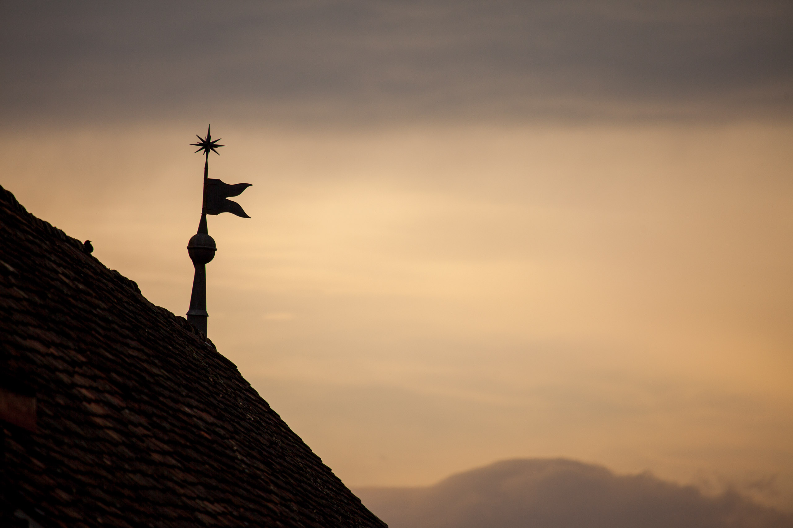 20110313134010 IMG 7291